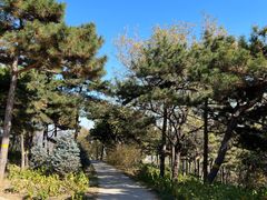 -北京西山国家森林公园