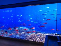 -SFC上影影城(港汇永华IMAX激光店)