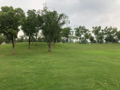 -盘龙城国家考古遗址公园