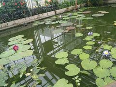 -国家植物园南园