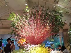 -春暖花开(西溪店)