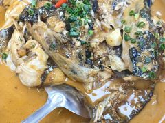 -全乐鱼馆·淳牌有机鱼直营店