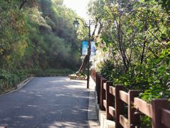 -杭州半山国家森林公园