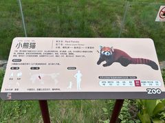 -武汉动物园