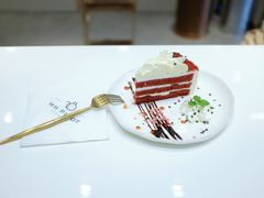 红丝绒-飞行喵MR PILOT|猫舍·猫咖(静安大融城店)