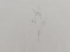 -馨越楼·点心·粤菜(赤坎店)