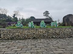 -桑洲油菜花景区