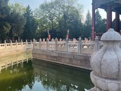 -北京国子监胡同