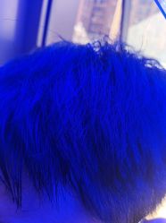 -碧莲盛·不剃发植发