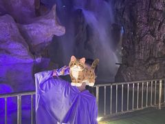 -泰安地下龙宫景区