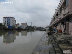 -大湾区中央湿地公园-十九涌