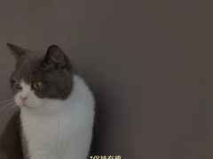 -CAT’S MEWSTAR CAFE·喵星球猫屋(晴湾咖啡店)