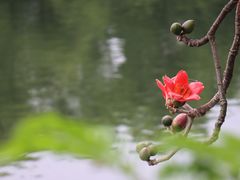 -东山湖公园