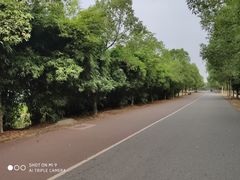 -艾溪湖湿地公园