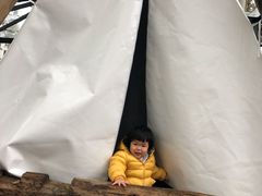 -桉树林A coffee 森林餐厅(三圣乡店)