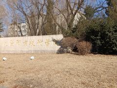 -沈阳职业技术学院