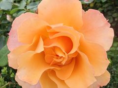 -胡安之家烤肉馆