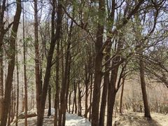 -崂山巨峰游览区