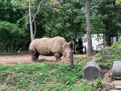 -清迈夜间动物园