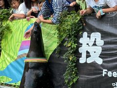 -灵玲国际马戏城
