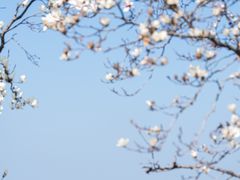 -阳澄湖半岛旅游度假区