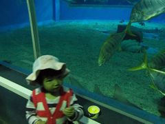 -北戴河圣蓝海洋公园