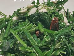 -大清花饺子(山庄店)