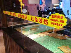 -洪湘记川湘·甲鱼馆(四海凯悦美食广场店)