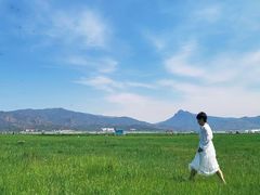 -敕勒川草原