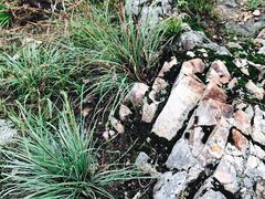 -将军关探险漂流