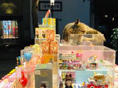 -猫的天空之城概念书店(杭州南宋御街店)
