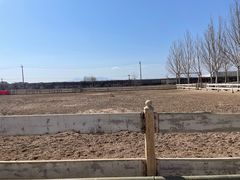 -北京群众马术培训基地