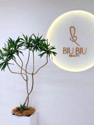 -BiuBiu Beauty·肌肤管理