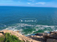 -广东惠东海龟国家级自然保护区