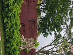 -白石龙音乐公园