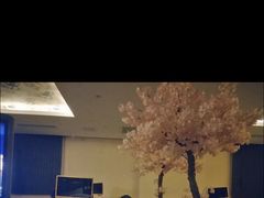 -汤里来温泉