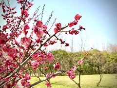 -蜀冈西峰生态公园