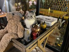 -咖法森林·咖啡  酒吧(天河店)