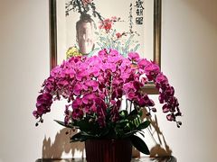 -凤临阁