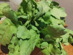 广东茼蒿-十六蒲(桂林路店)