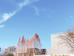 -天目湖涵田半山温泉