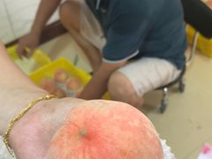 -老袁家蜜桃农场·阳山水蜜桃