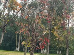 -白鹭湾湿地公园