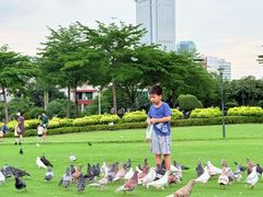 -白鹭洲公园