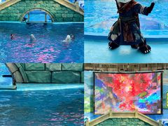 -海合安成都极地海洋公园
