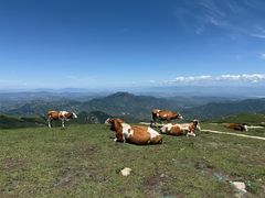 -灵山