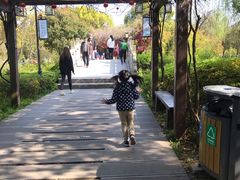 -白马涧龙池景区