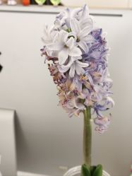 -亿美医疗美容·半岛大超炮官方授权店