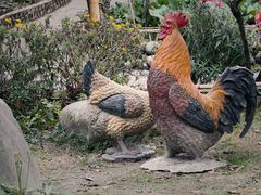 -土灶人家柴火鸡(都江堰店)