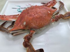 -人和啤酒屋海鲜大排档(营口路店)